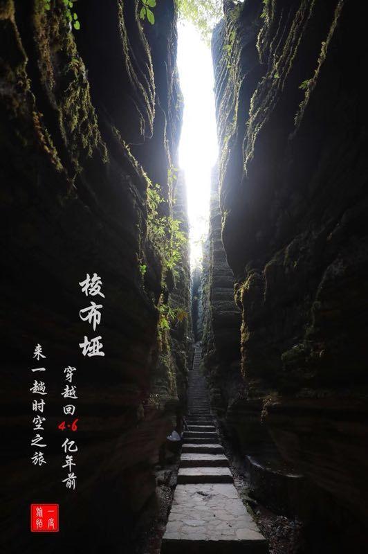 高标准农田建设筑牢农业发展“耕”基